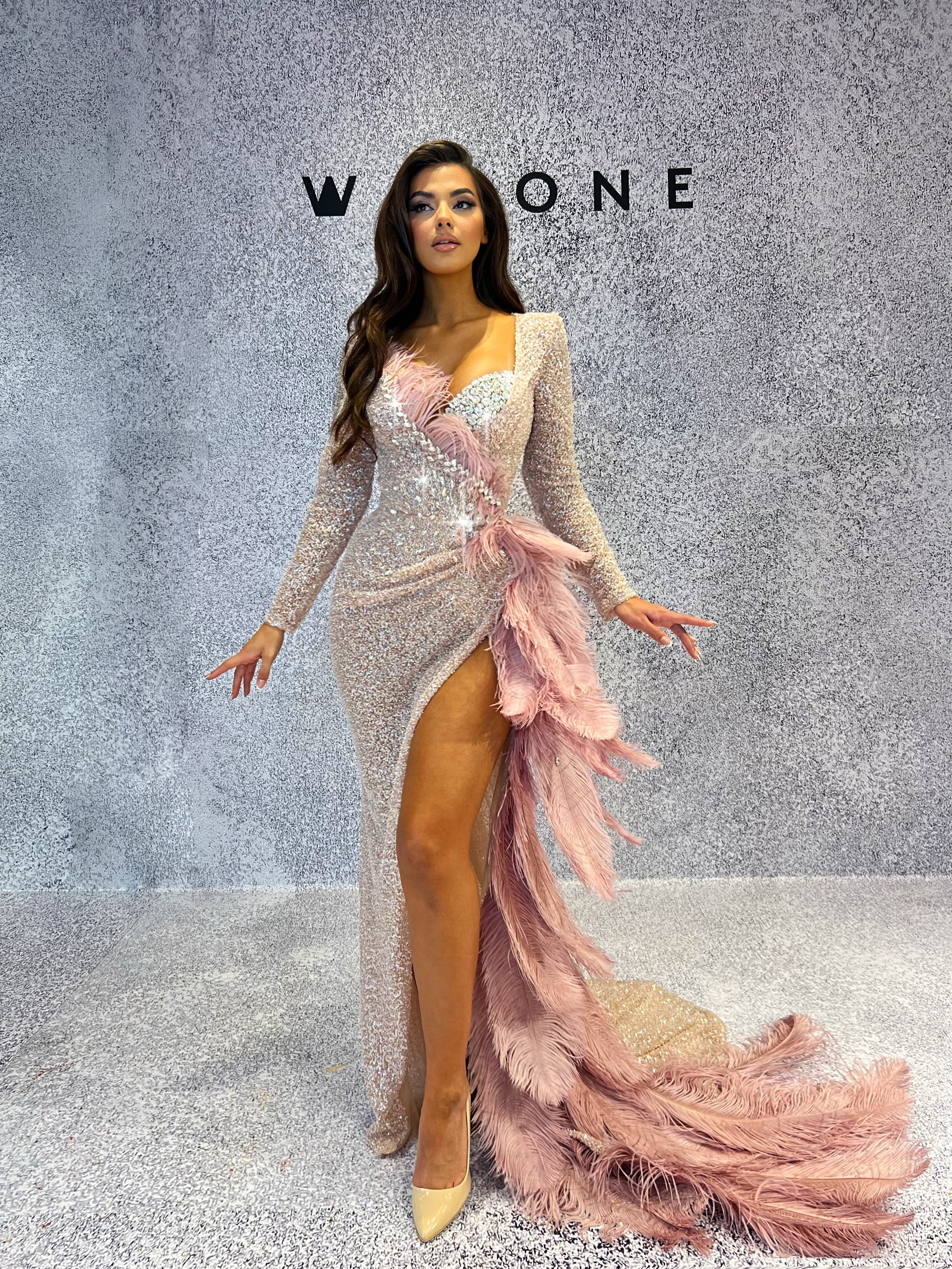 Blush Pink Embellished Dress with Feathered Tail